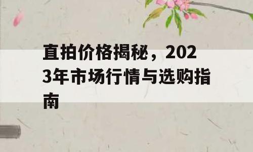 直拍价格揭秘，2023年市场行情与选购指南
