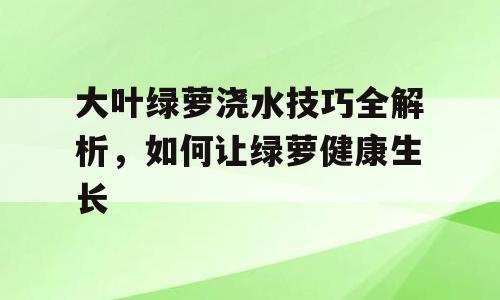 大叶绿萝浇水技巧全解析，如何让绿萝健康生长