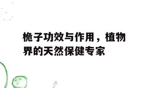 桅子功效与作用，植物界的天然保健专家