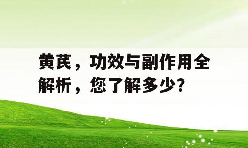 黄芪，功效与副作用全解析，您了解多少？