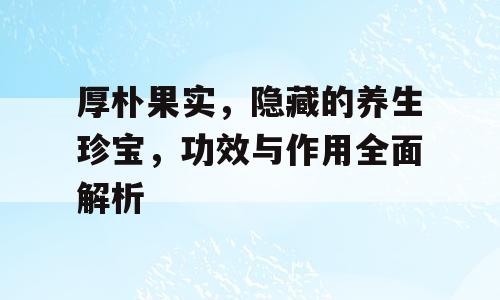 厚朴果实，隐藏的养生珍宝，功效与作用全面解析