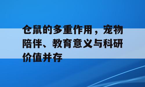 仓鼠的多重作用，宠物陪伴、教育意义与科研价值并存