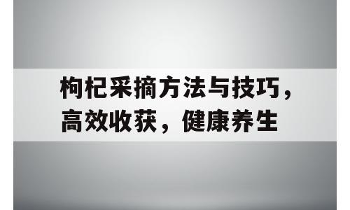 枸杞采摘方法与技巧，高效收获，健康养生