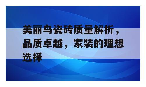 美丽鸟瓷砖质量解析，品质卓越，家装的理想选择