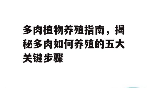 多肉植物养殖指南，揭秘多肉如何养殖的五大关键步骤