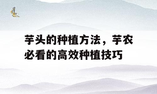 芋头的种植方法，芋农必看的高效种植技巧