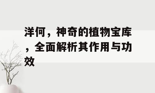 洋何，神奇的植物宝库，全面解析其作用与功效