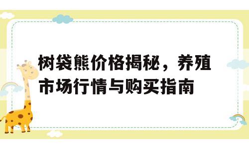 树袋熊价格揭秘，养殖市场行情与购买指南