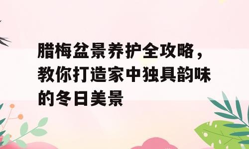 腊梅盆景养护全攻略，教你打造家中独具韵味的冬日美景