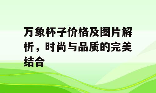 万象杯子价格及图片解析，时尚与品质的完美结合