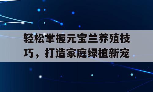 轻松掌握元宝兰养殖技巧，打造家庭绿植新宠