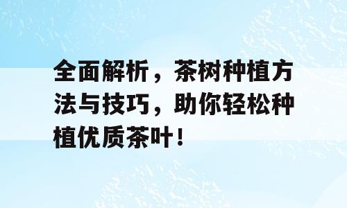 全面解析，茶树种植方法与技巧，助你轻松种植优质茶叶！
