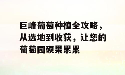 巨峰葡萄种植全攻略，从选地到收获，让您的葡萄园硕果累累