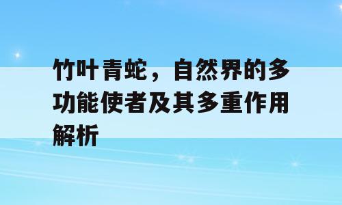 竹叶青蛇，自然界的多功能使者及其多重作用解析