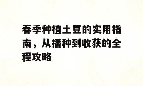 春季种植土豆的实用指南，从播种到收获的全程攻略