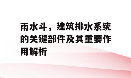 雨水斗，建筑排水系统的关键部件及其重要作用解析