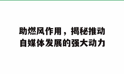 助燃风作用，揭秘推动自媒体发展的强大动力