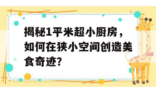 揭秘1平米超小厨房，如何在狭小空间创造美食奇迹？