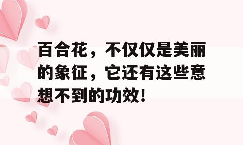 百合花，不仅仅是美丽的象征，它还有这些意想不到的功效！