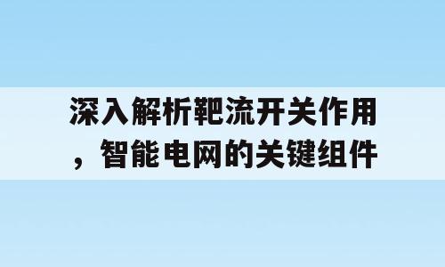 深入解析靶流开关作用，智能电网的关键组件