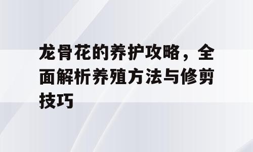 龙骨花的养护攻略，全面解析养殖方法与修剪技巧