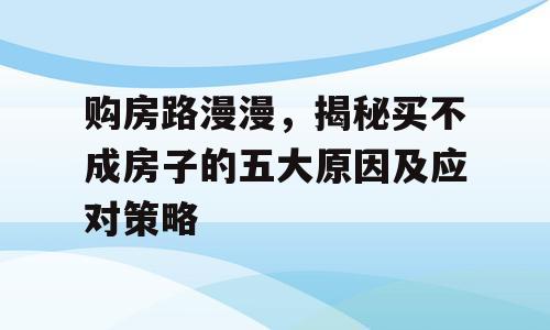 购房路漫漫，揭秘买不成房子的五大原因及应对策略