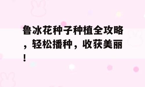 鲁冰花种子种植全攻略，轻松播种，收获美丽！