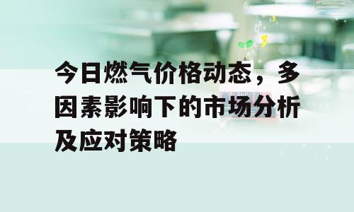 今日燃气价格动态，多因素影响下的市场分析及应对策略