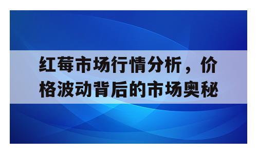 红莓市场行情分析，价格波动背后的市场奥秘