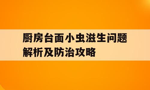 厨房台面小虫滋生问题解析及防治攻略