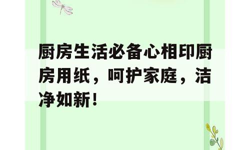 厨房生活必备心相印厨房用纸，呵护家庭，洁净如新！