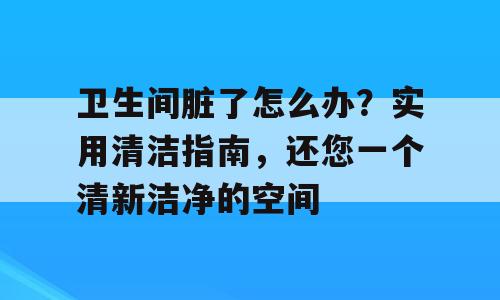 卫生间脏了怎么办？实用清洁指南，还您一个清新洁净的空间