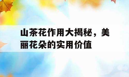 山茶花作用大揭秘，美丽花朵的实用价值