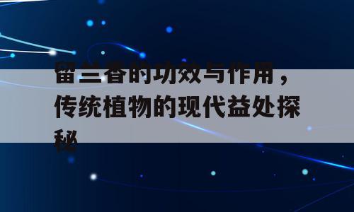 留兰香的功效与作用，传统植物的现代益处探秘