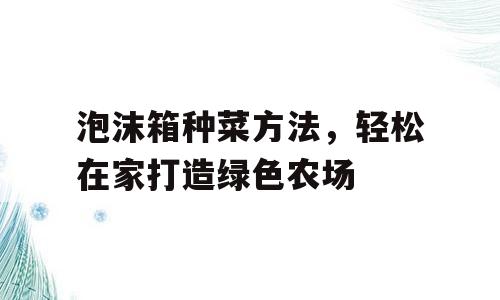 泡沫箱种菜方法，轻松在家打造绿色农场