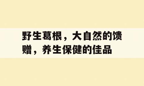 野生葛根，大自然的馈赠，养生保健的佳品