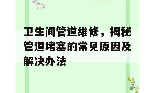 卫生间管道维修，揭秘管道堵塞的常见原因及解决办法