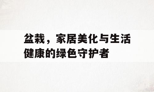 盆栽，家居美化与生活健康的绿色守护者