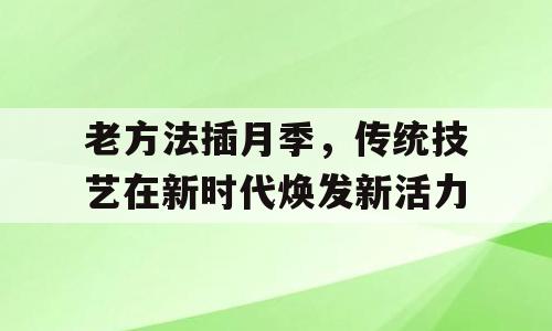老方法插月季，传统技艺在新时代焕发新活力