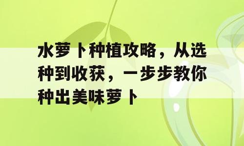 水萝卜种植攻略，从选种到收获，一步步教你种出美味萝卜