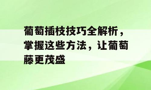 葡萄插枝技巧全解析，掌握这些方法，让葡萄藤更茂盛