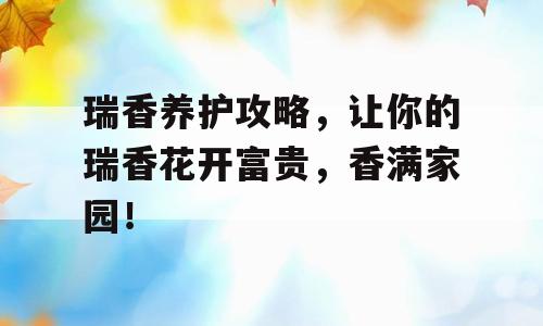 瑞香养护攻略，让你的瑞香花开富贵，香满家园！
