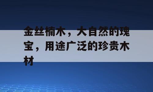 金丝楠木，大自然的瑰宝，用途广泛的珍贵木材