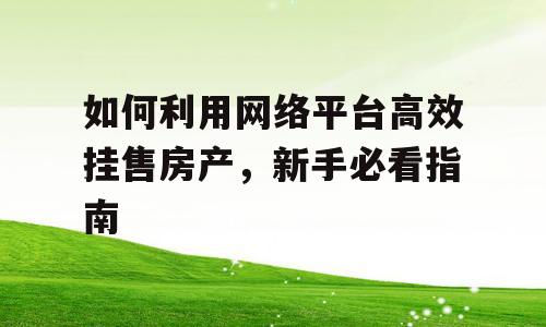 如何利用网络平台高效挂售房产，新手必看指南
