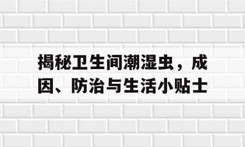 揭秘卫生间潮湿虫，成因、防治与生活小贴士