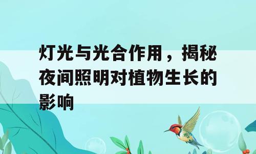 灯光与光合作用，揭秘夜间照明对植物生长的影响