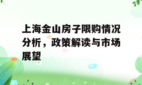 上海金山房子限购情况分析，政策解读与市场展望