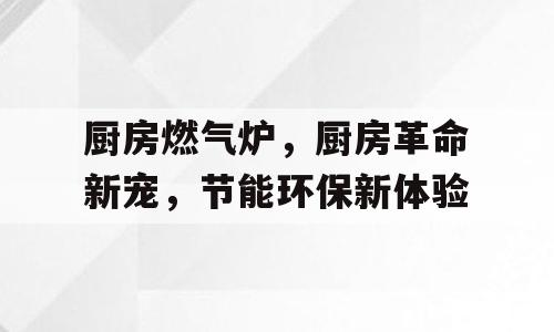 厨房燃气炉，厨房革命新宠，节能环保新体验