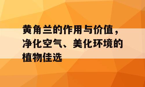 黄角兰的作用与价值，净化空气、美化环境的植物佳选