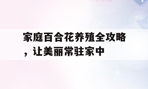 家庭百合花养殖全攻略，让美丽常驻家中